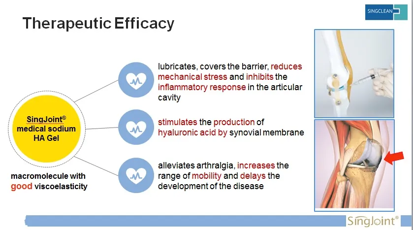 Therapeutic Efficacy Graph