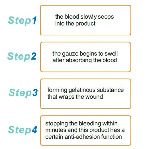 Hemostatic Process