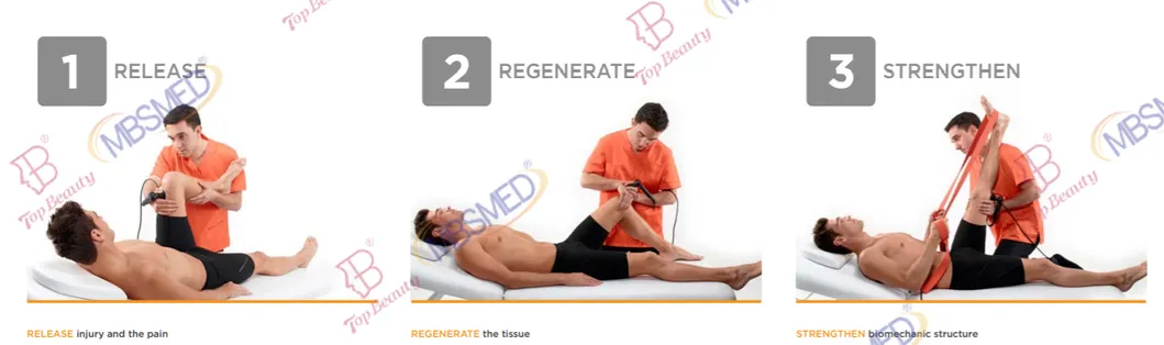 Physiological Effects Diagram