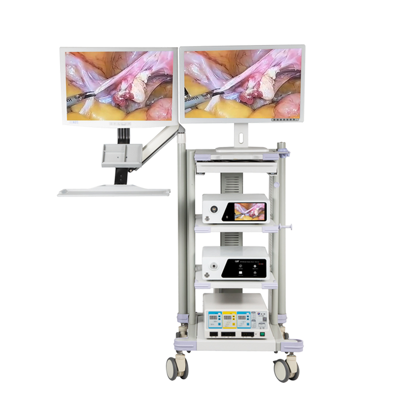 Medical Diagnostic Thoracoscope Endoscopic Instrument Endoscopy Equipment 4K Flourescent Endoscope Camera System