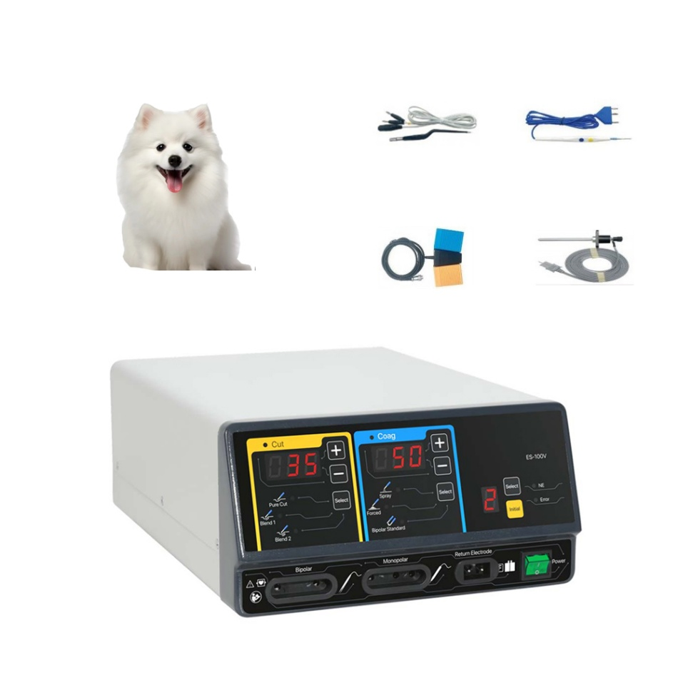 Cheap Vet Human Portable 100W Electrode Cautery Device