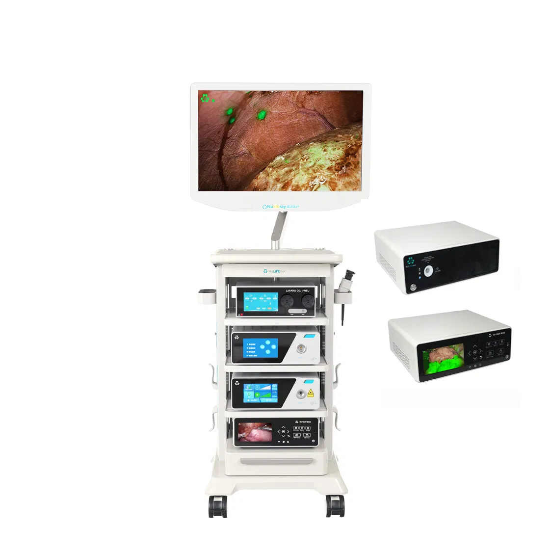Medical Equipment for Nir Imaging: 4K Endoscopic Fluorescence System Icg-Compatible