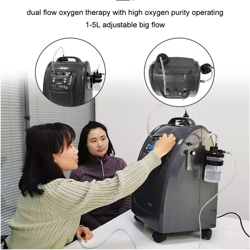 Copd Oxygen Machine Dual Flow Oxygen Set 5L Respiratory Oxygen Equipment