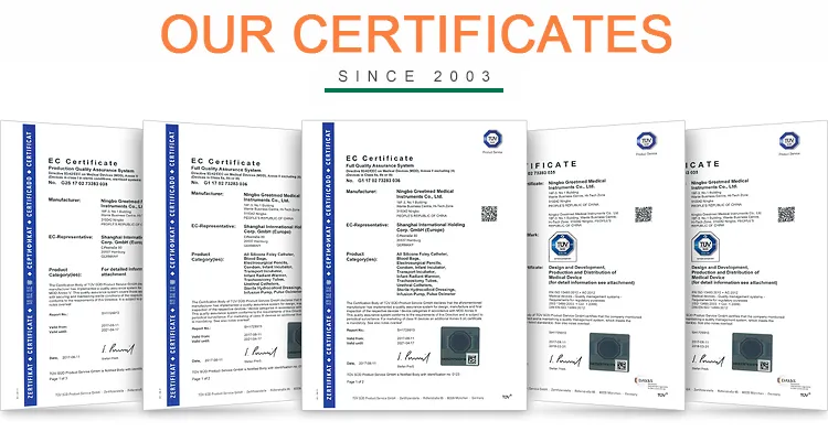 Catheter Technical Detail 1