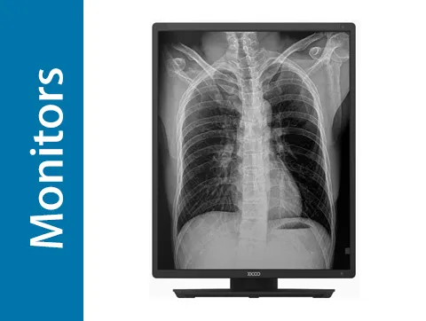 Professional Monitor