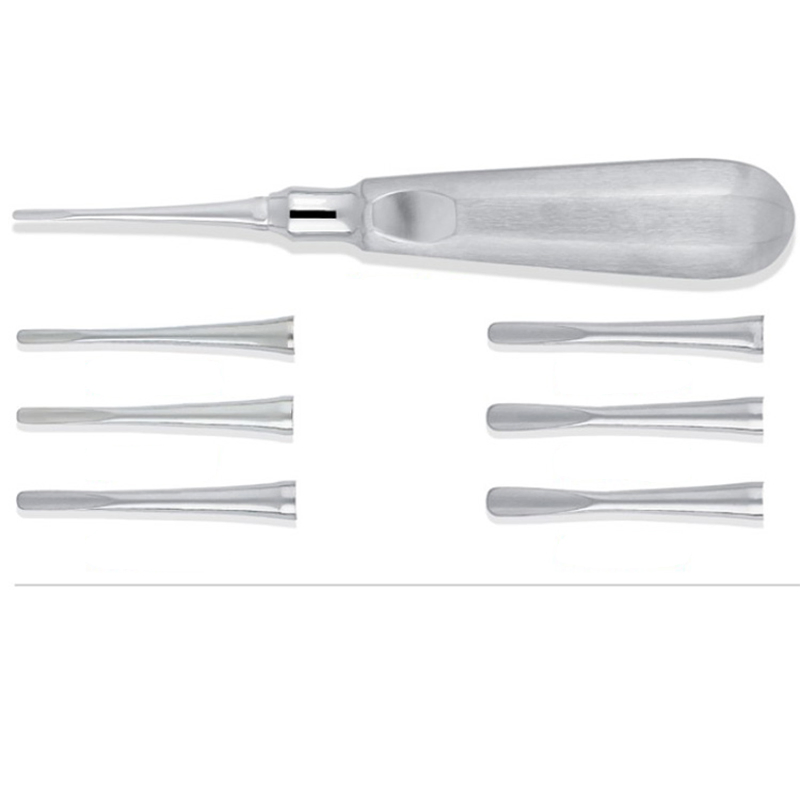 Stainless Steel Dental Examination Surgical Tools Dental Instruments All Kinds of Root Elevators