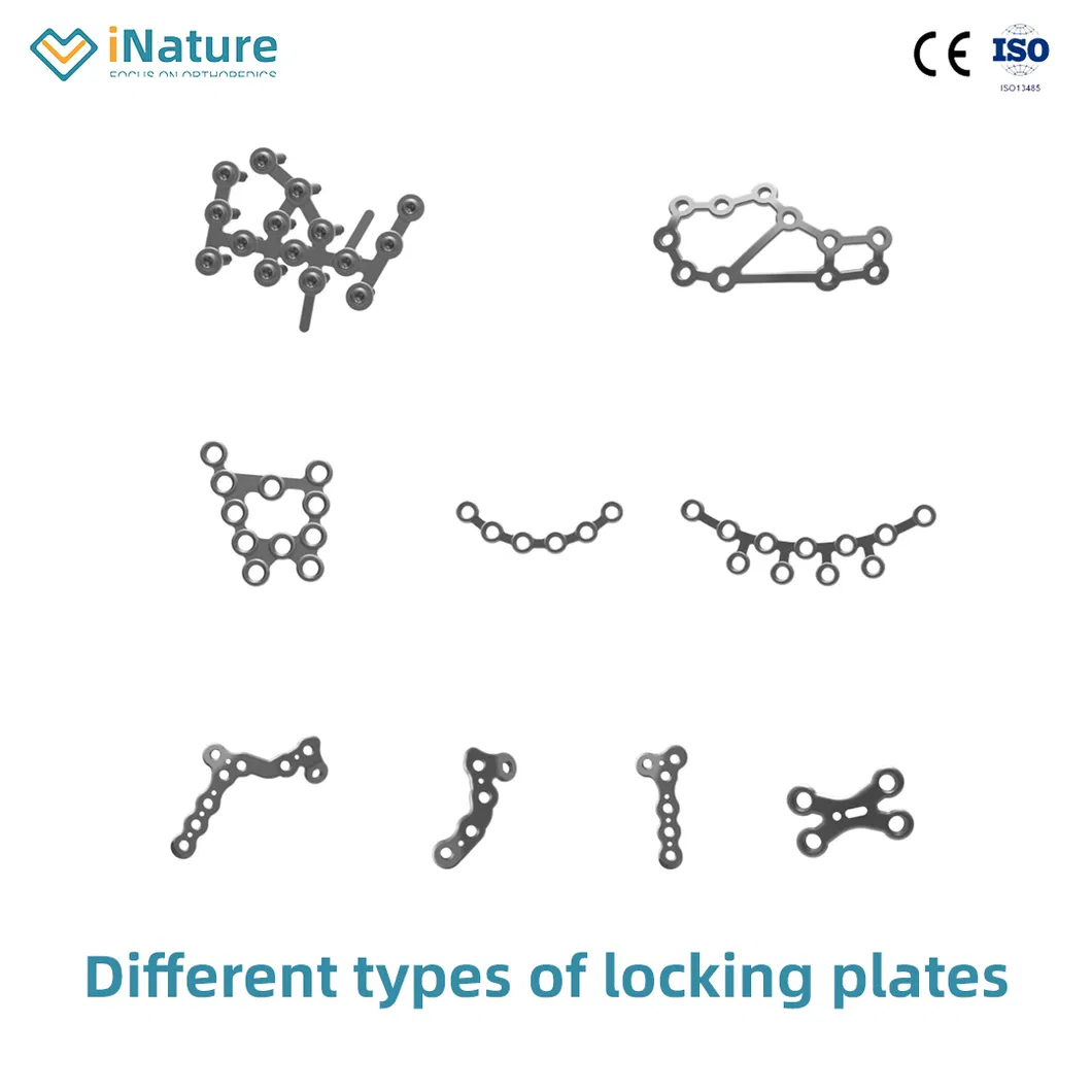 Pure Titanium Implants