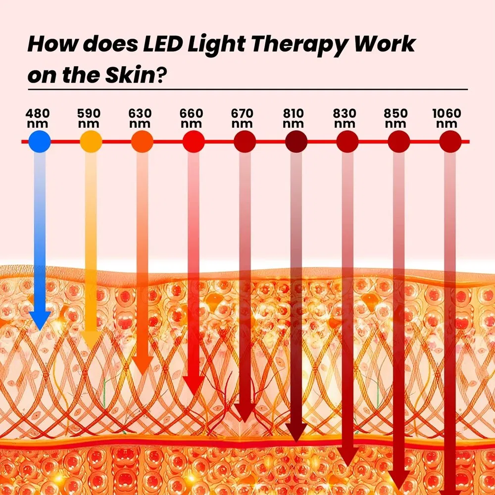 Customized 9 Wavelength Full Body Pain Relief LED Blue Red Light Therapy Panel for Recreation Wellness Gym Yoga Clinic, Near Infrared Lamp Healthcare PDT Device