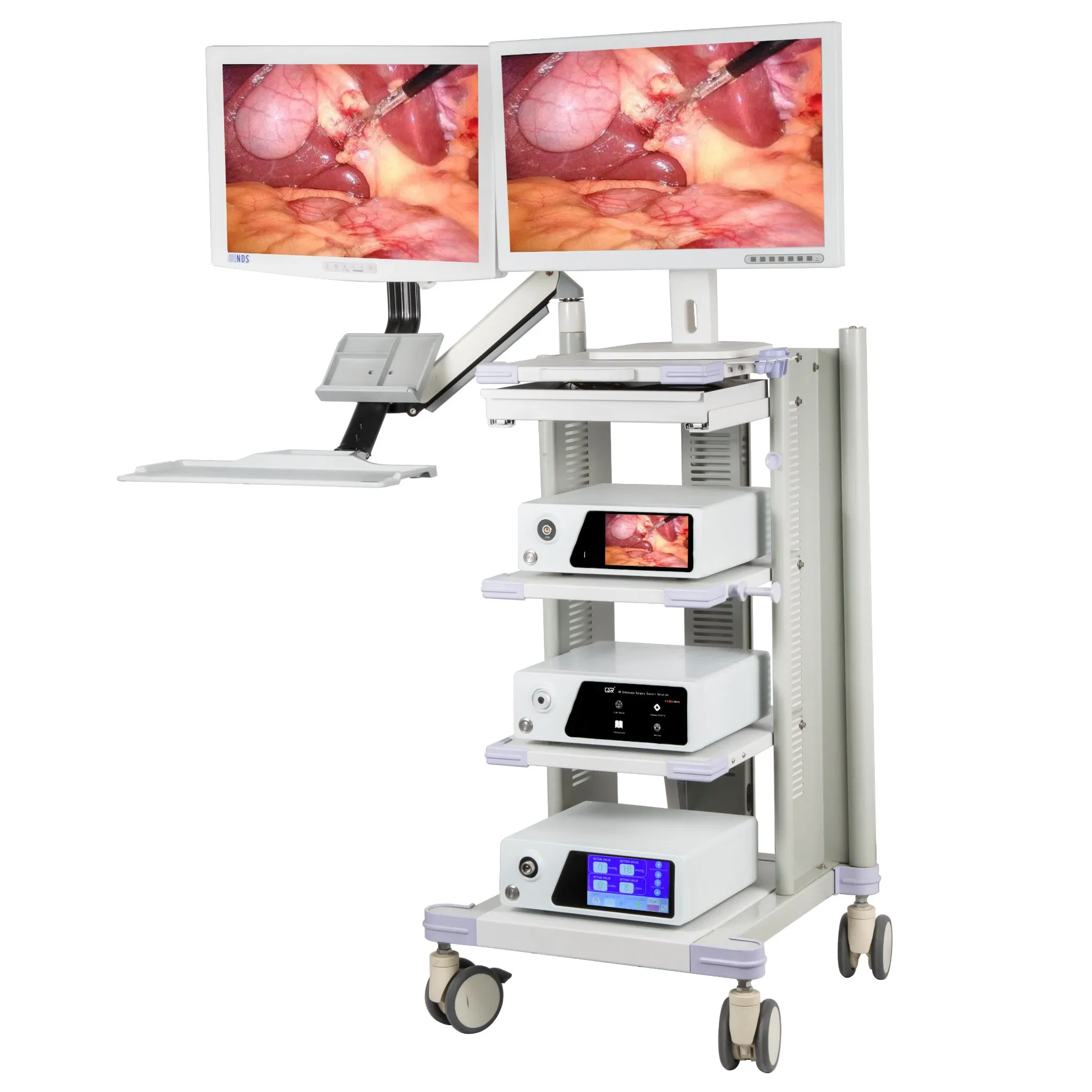 Medical Diagnostic Thoracoscope Endoscopic Instrument Endoscopy Equipment 4K Flourescent Endoscope Camera System