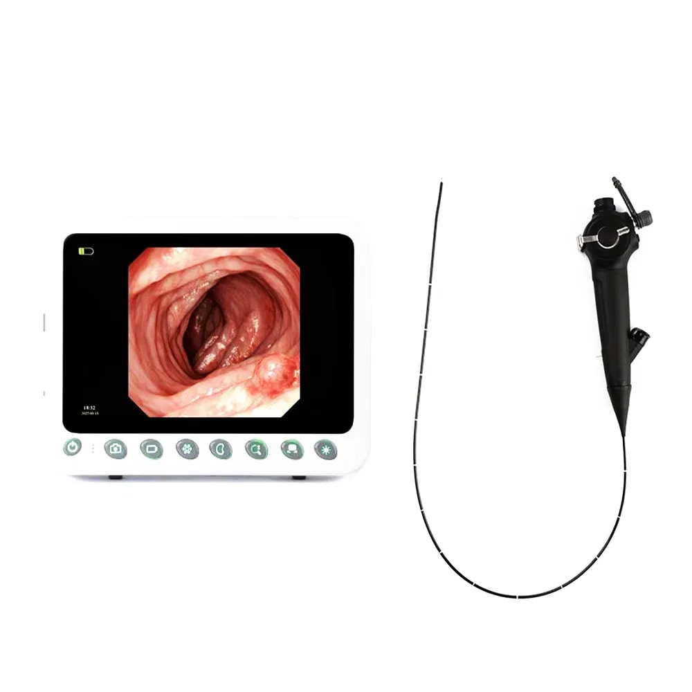 Medical Endoscope Equipment