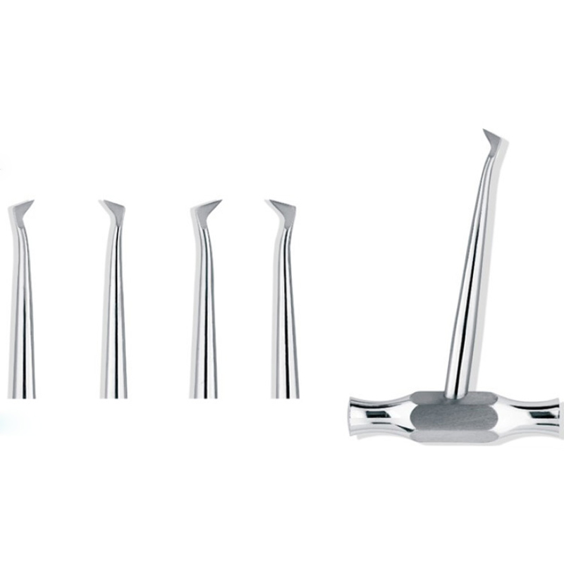Stainless Steel Dental Examination Surgical Tools Dental Instruments All Kinds of Root Elevators