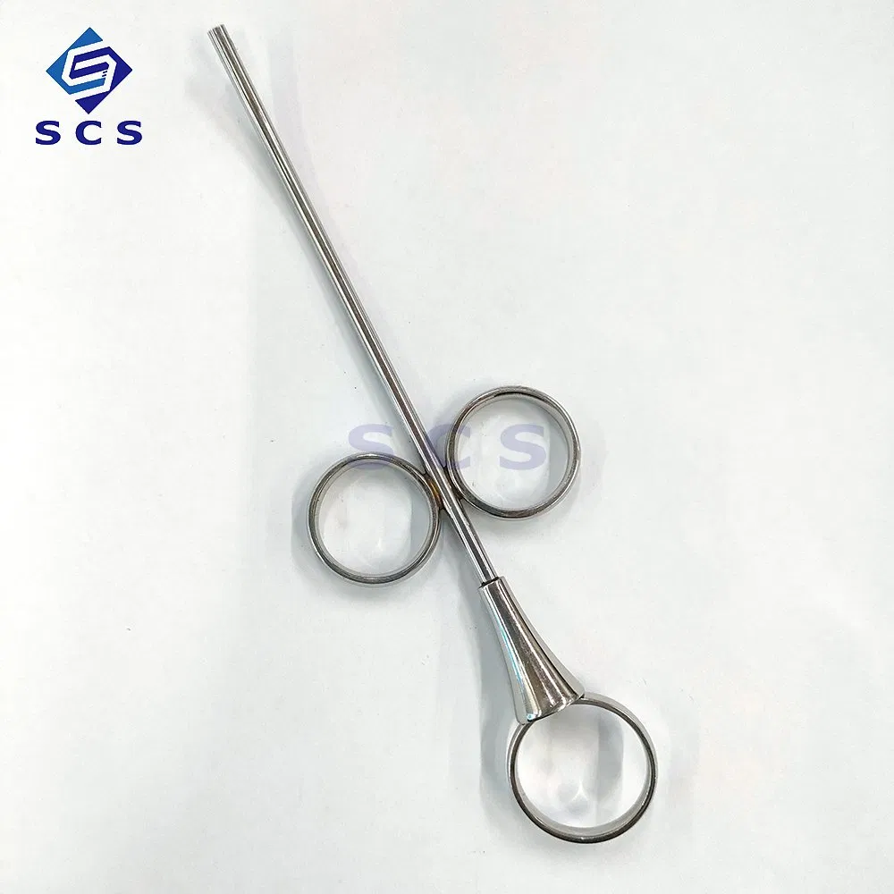 Bone Meal Conveyor Medical Product Portable Stainless Steel Dental Instrument