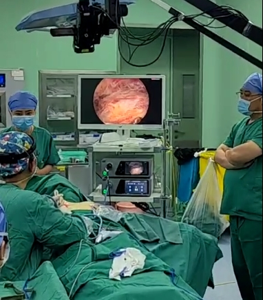 Medical Digital Imaging Equipments for Endoscopic Procedures Foraminoscopes