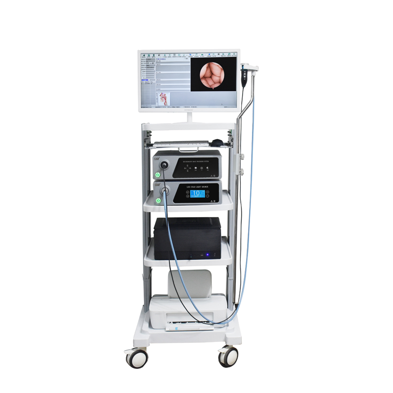 Medical Surgical Equipment Ent Endoscopy with Full HD