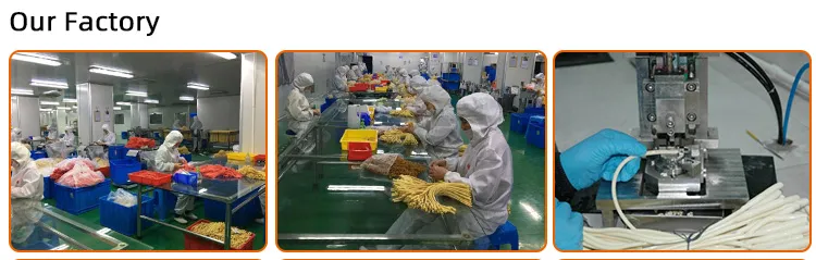 Catheter Technical Detail 3