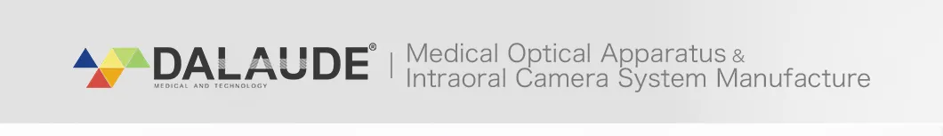 Dental Phantom Head Banner