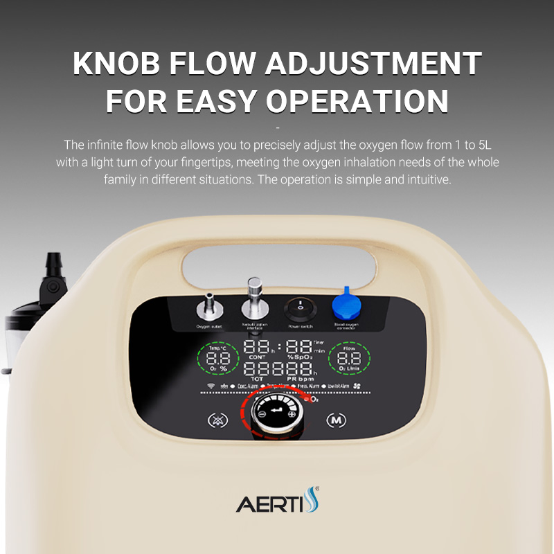Aerti Quiet Vpsa Oxygen Machine 5L Durable Electric Respiratory System Oxygen Equipment