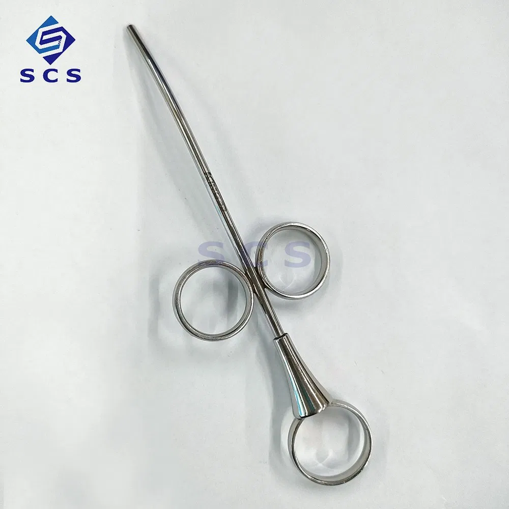 Bone Meal Conveyor Medical Product Portable Stainless Steel Dental Instrument