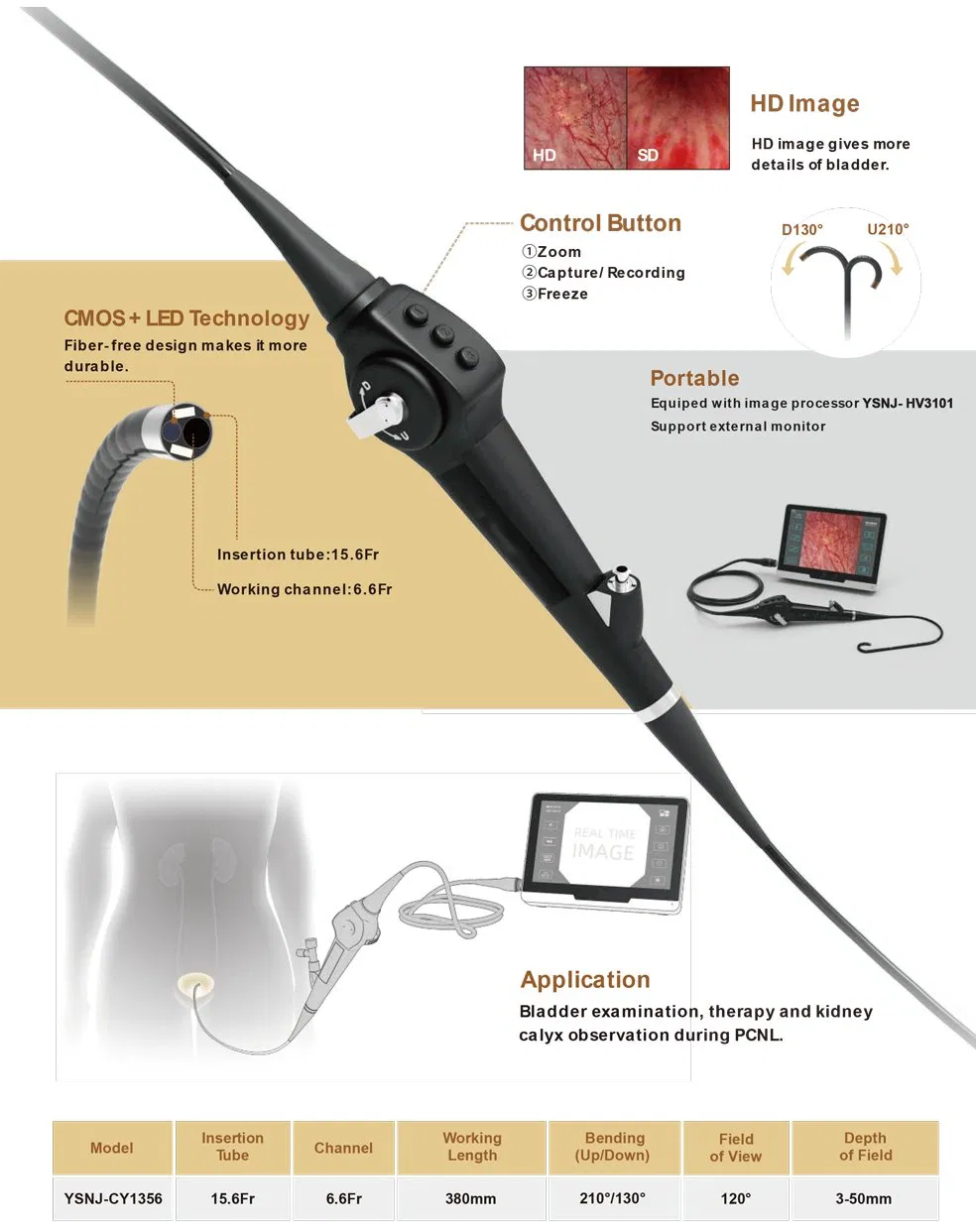 Video Cystonephroscope Details 2