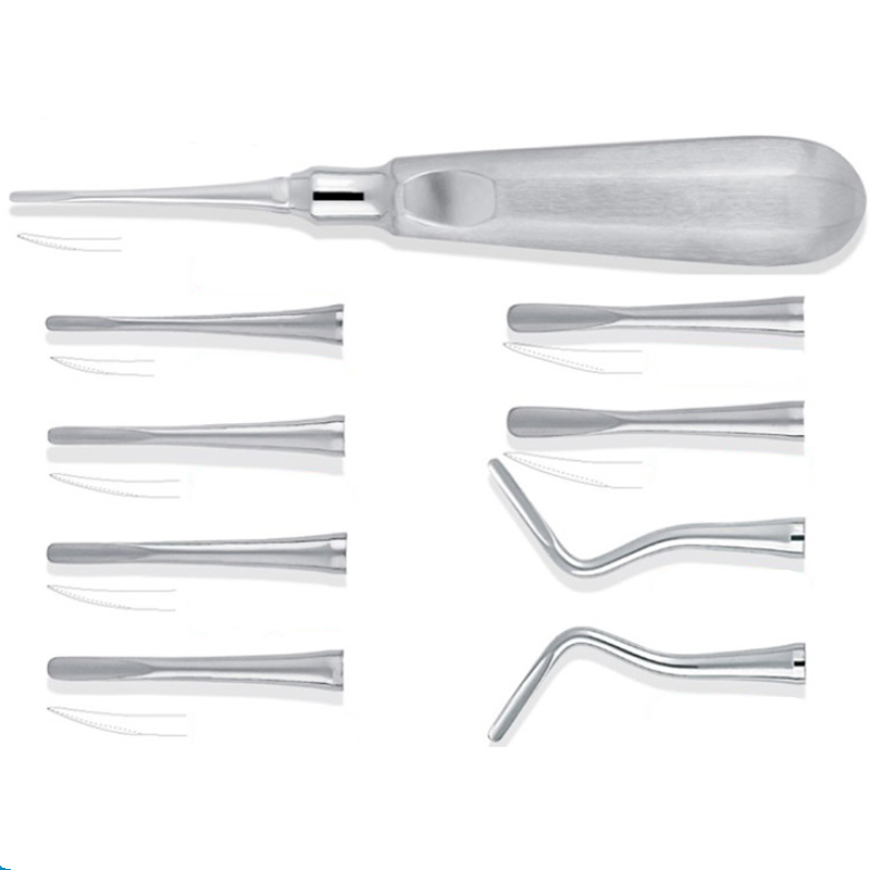 Stainless Steel Dental Examination Surgical Tools Dental Instruments All Kinds of Root Elevators