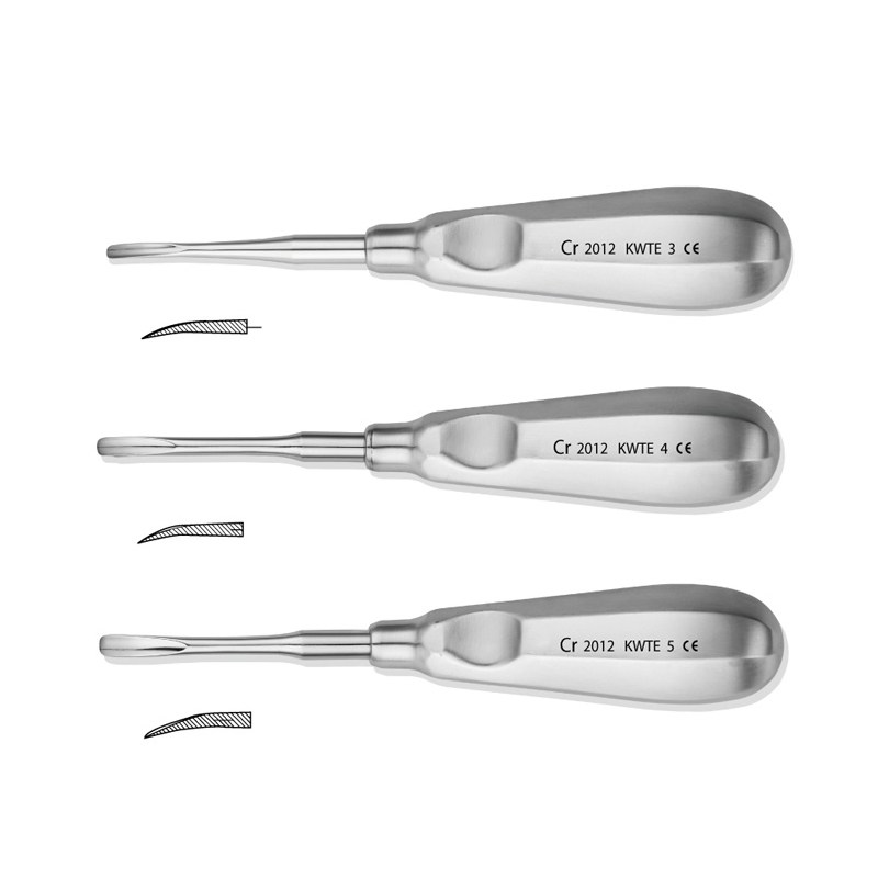 Stainless Steel Dental Examination Surgical Tools Dental Instruments All Kinds of Root Elevators