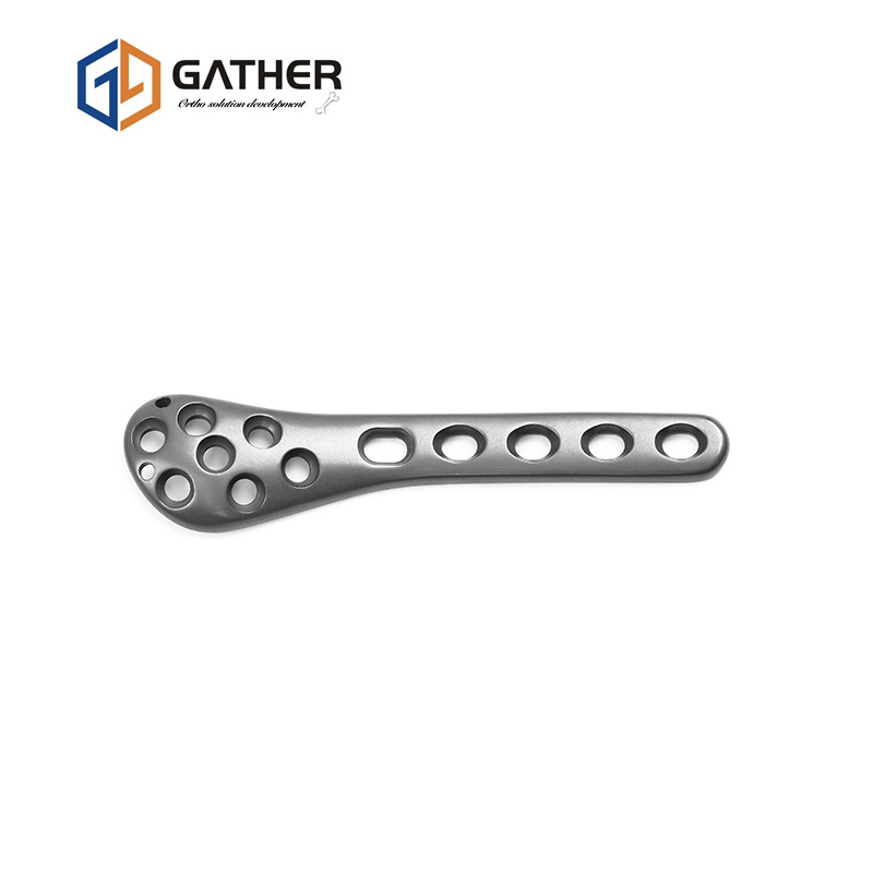 Bone Fixed Fracture Plate Orthopedic Implant Full Types Medical Device