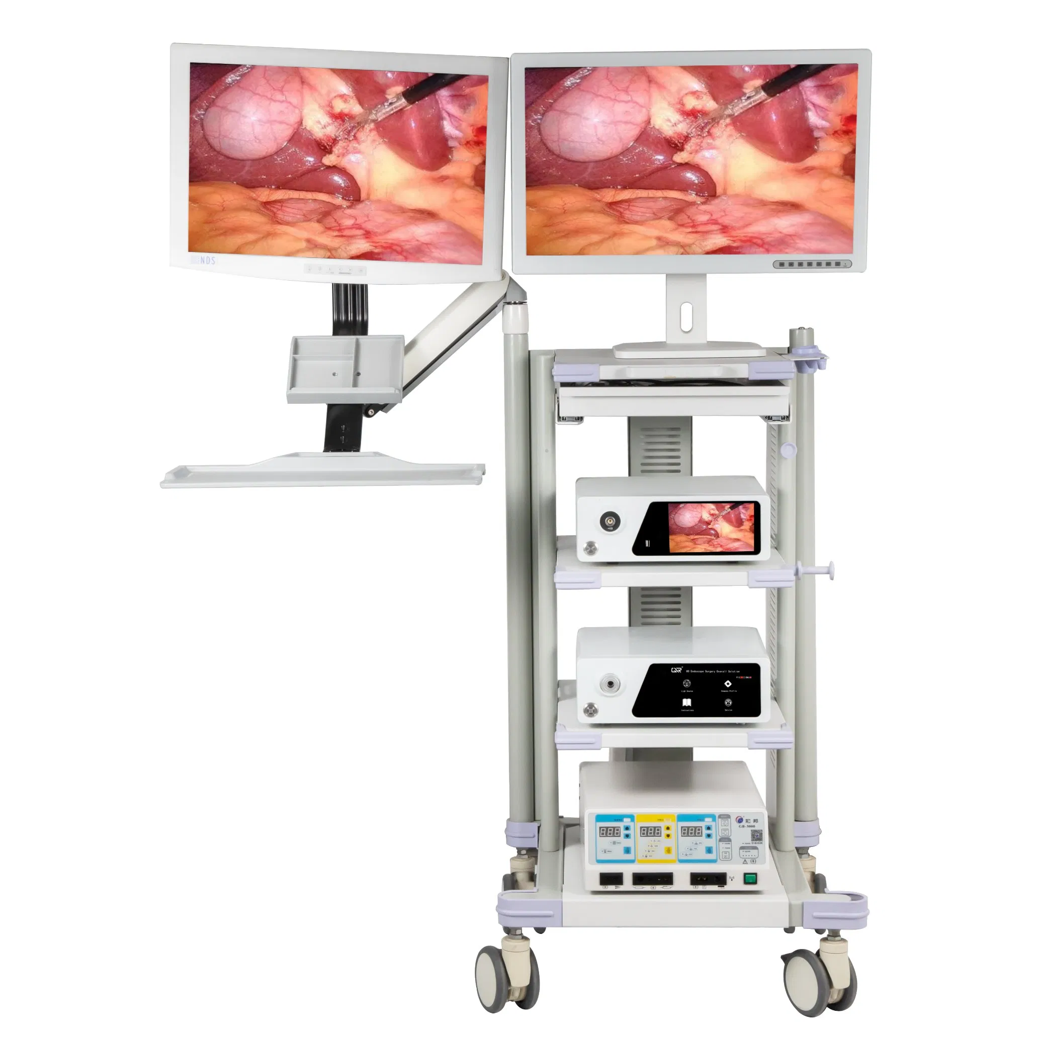 Medical Diagnostic Thoracoscope Endoscopic Instrument Endoscopy Equipment 4K Flourescent Endoscope Camera System