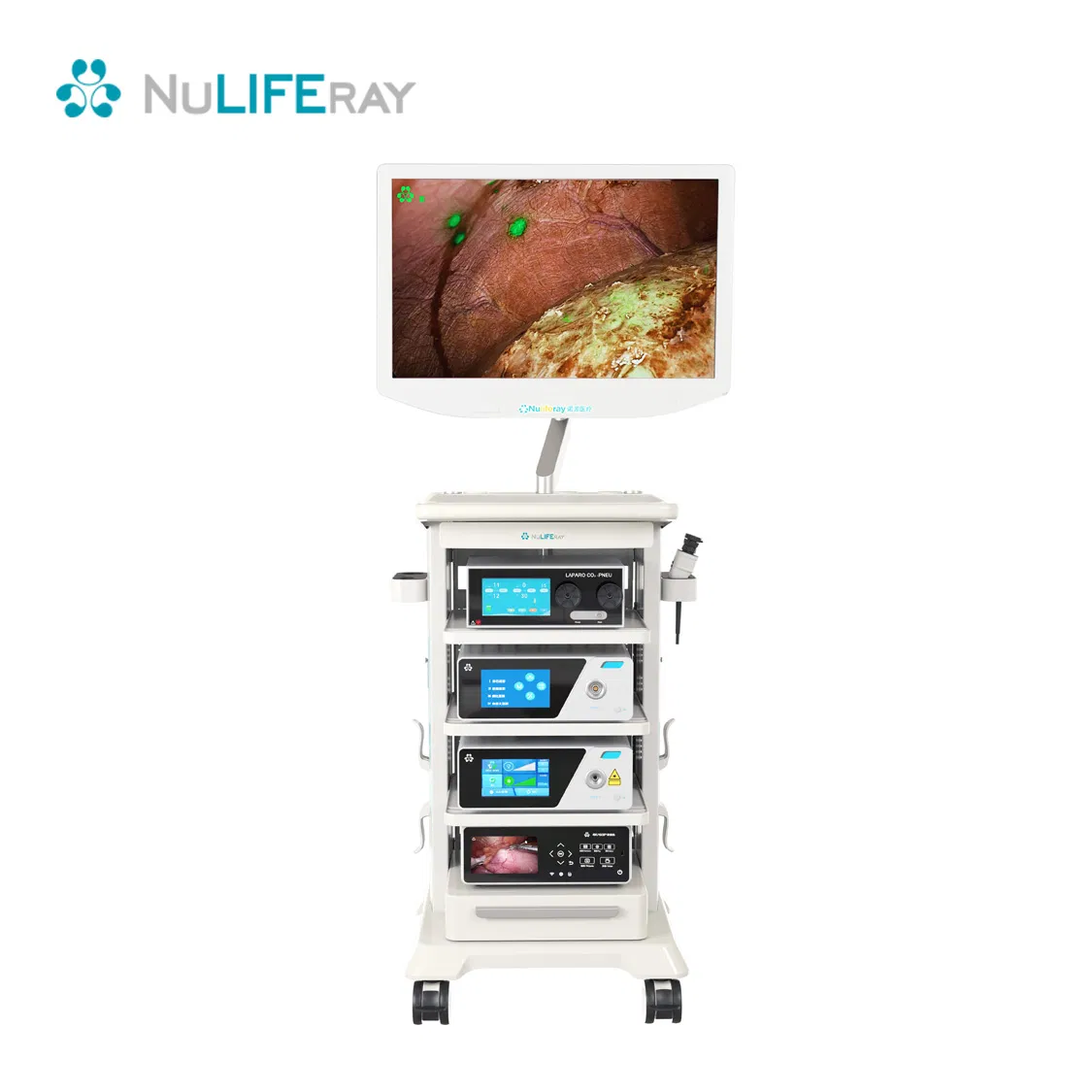 Icg-Compatible Medical Equipment: 4K Endoscopic Fluorescent Imaging System