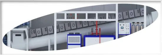 Microwave Disinfection