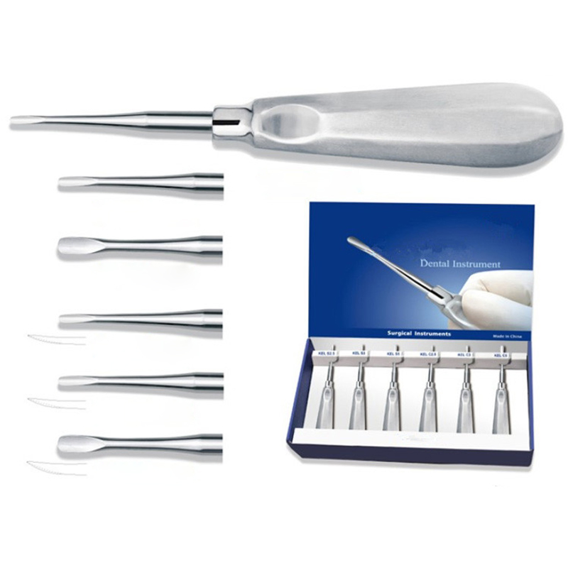 Stainless Steel Dental Examination Surgical Tools Dental Instruments All Kinds of Root Elevators