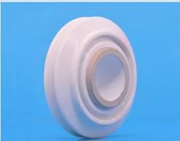 Metallized Ceramic Rings