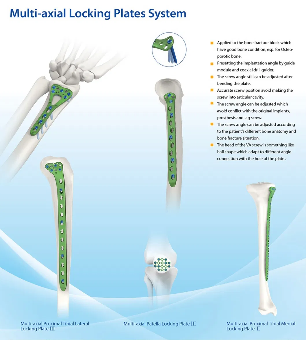 Related Orthopedic Product 1