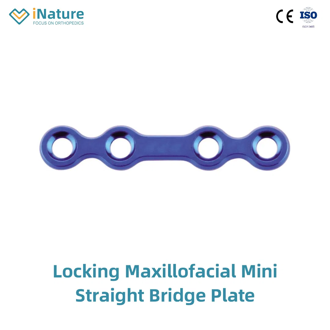 1.0mm Titanium Plate Maxillofacial Mini Locking Plate Micro Plate Implant