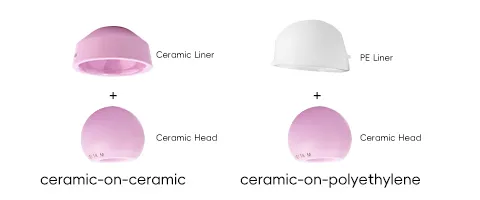 Wear-Resistant Implants