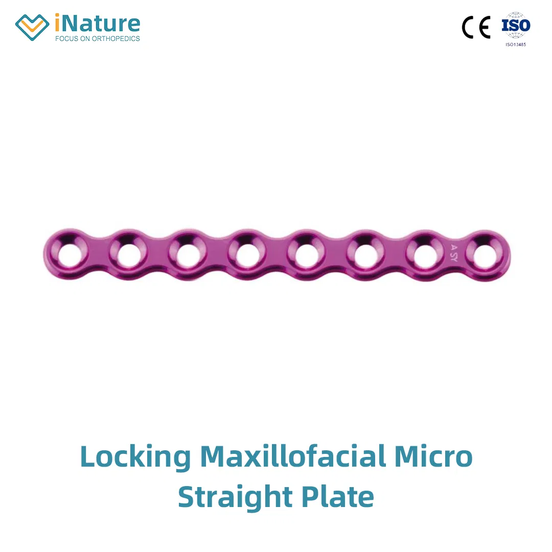 Locking Maxillofacial Mini Straight Bridge Plate Implant