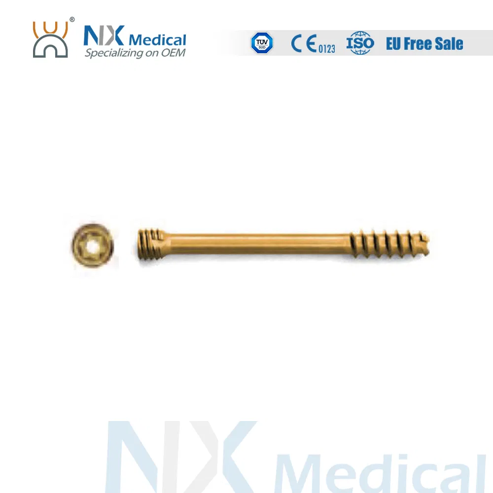 Nx Medical Orthopedic Implant Cannulated Headless Compression Screw for Bone Fixation
