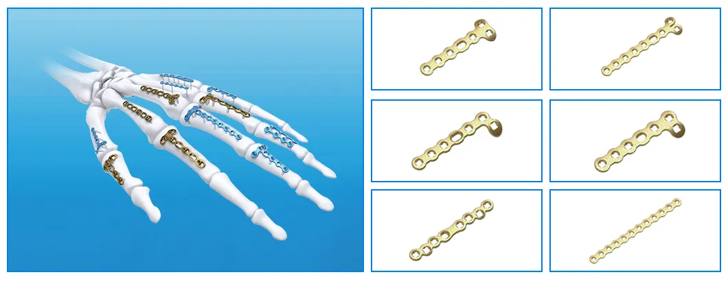 Product Specification 1