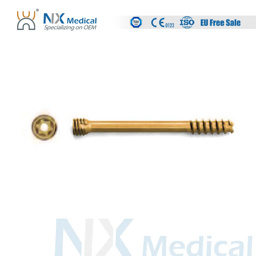 Nx Medical Orthopedic Implant Cannulated Headless Compression Screw for Bone Fixation