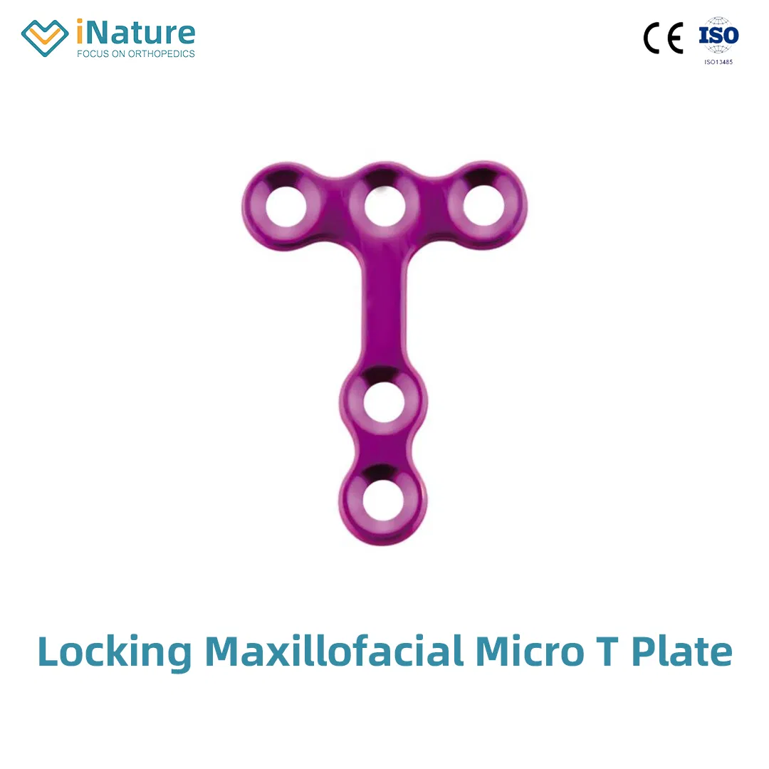 Locking Maxillofacial Mini Straight Bridge Plate Implant