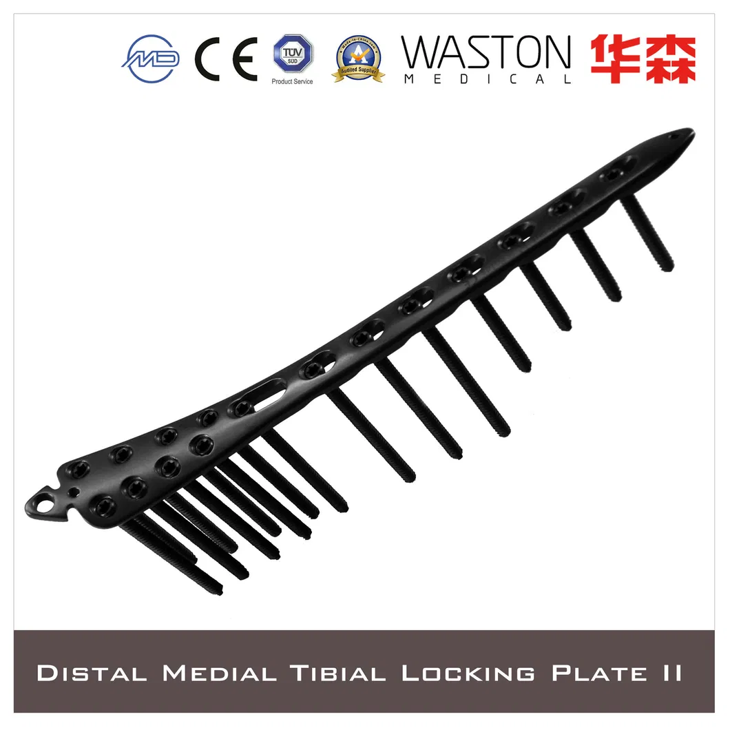 Orthopedic Titanium Plate