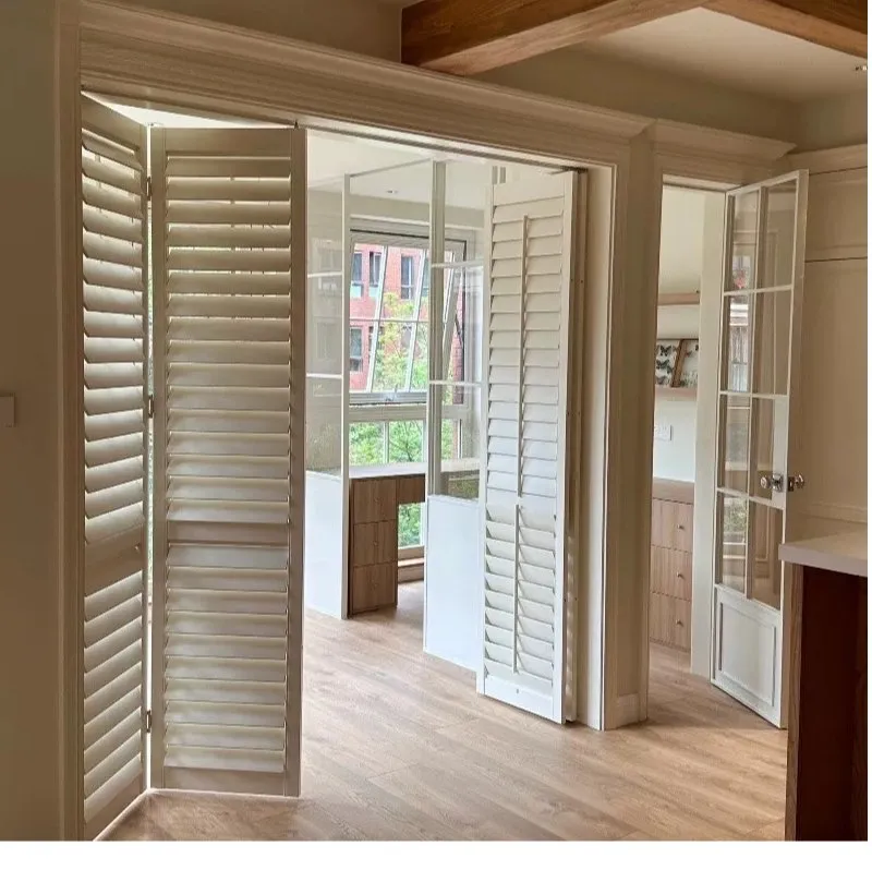 Frameless Door Mechanism