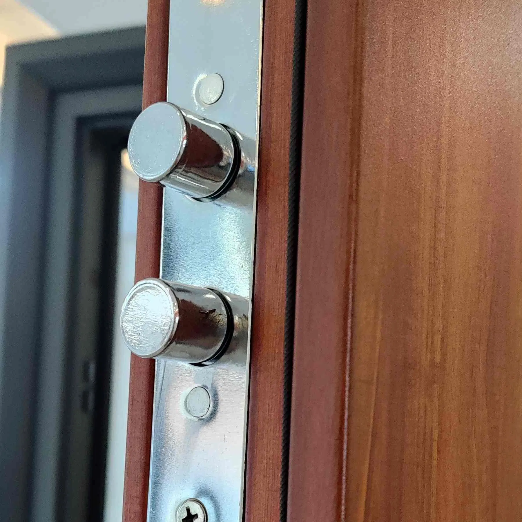 Professional Manufacture Solid Metal Steel Security Entrance Wooden Grain Door with Multi-Point Lock