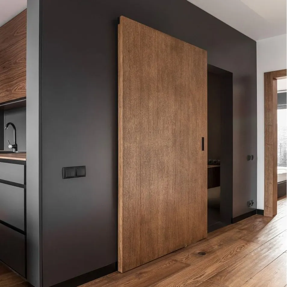 Minimalist Interior Door