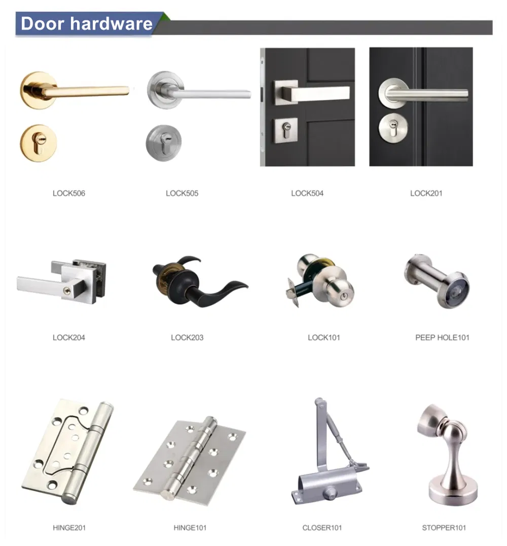 Flush Frameless Door