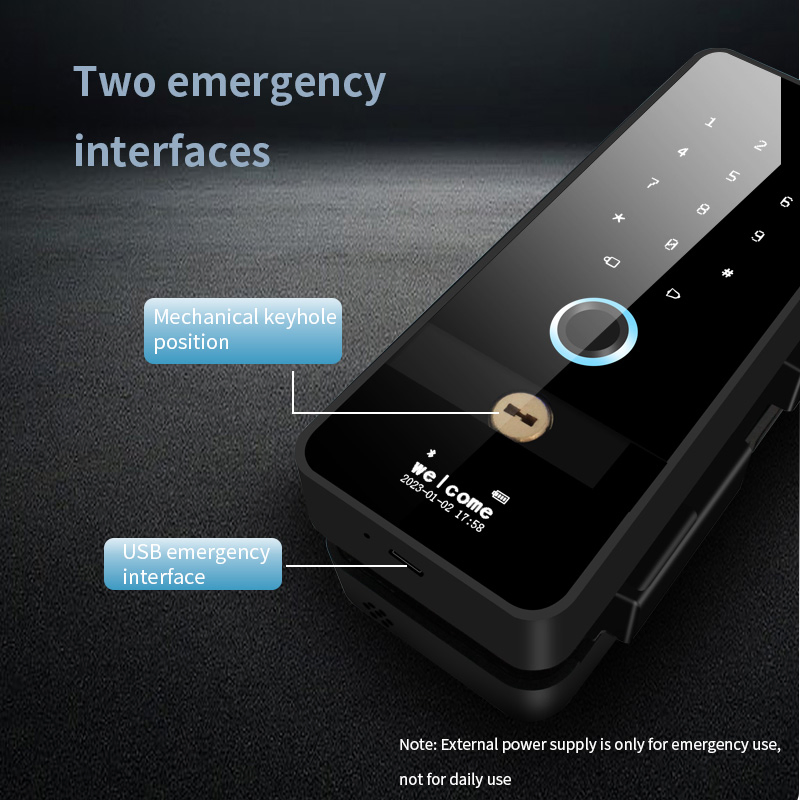 Wholesale Price Multi-Point Security Finger Print Smart Lock for Frameless Glass Sliding Doors Door Lock