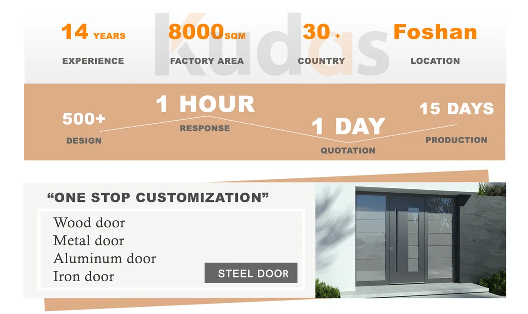 Exterior Security Door Main View