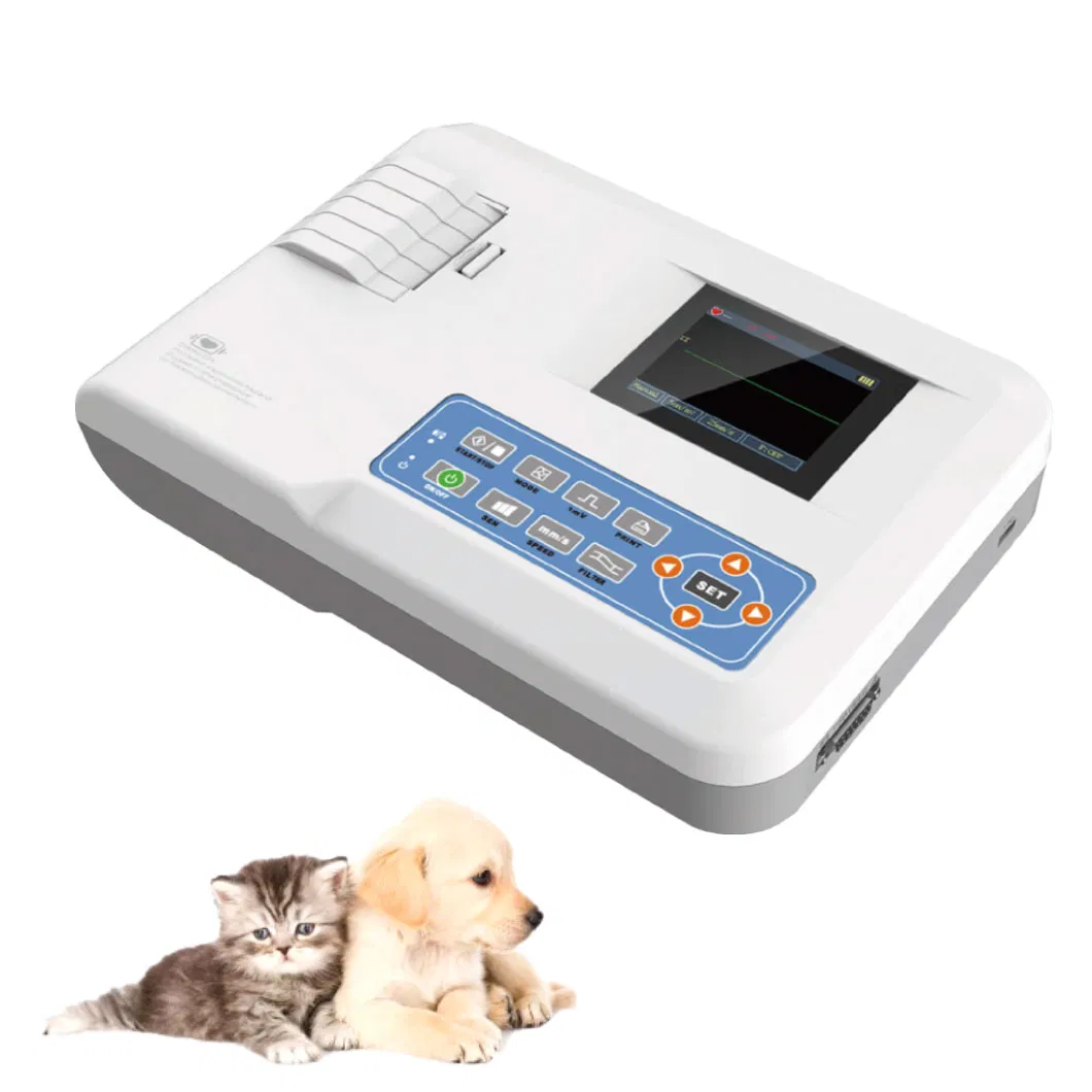 Animal 1 Canal Veterinario Electrocardiograma Veterinario Máquina de ECG para Mascotas