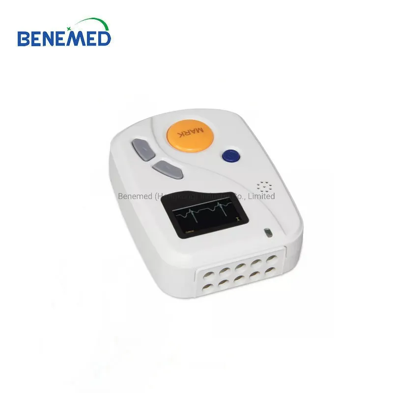 ECG Holter 2