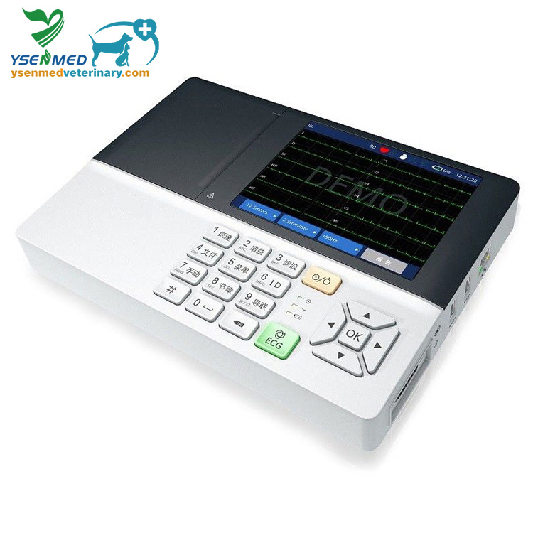 Equipo Veterinario Equipo Médico Máquina de ECG Ysecg100gv