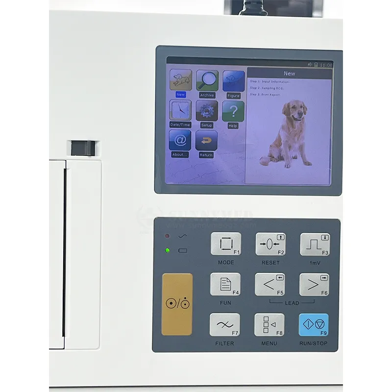 Detalle ECG 3